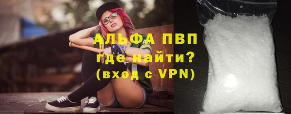 СК Новозыбков