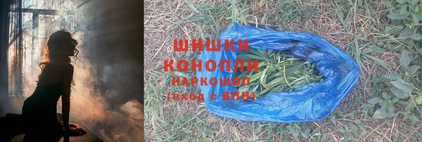 СК Новозыбков