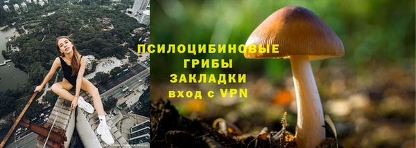 СК Новозыбков